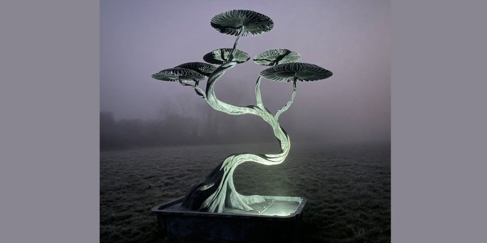 Six Mushroom Tree with bonsai trough lit up on a misty night.
