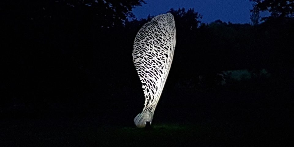 Sycamore Seed sculpture lit up at night, light hitting the intricate cutout shapes of the metal against a black background.
