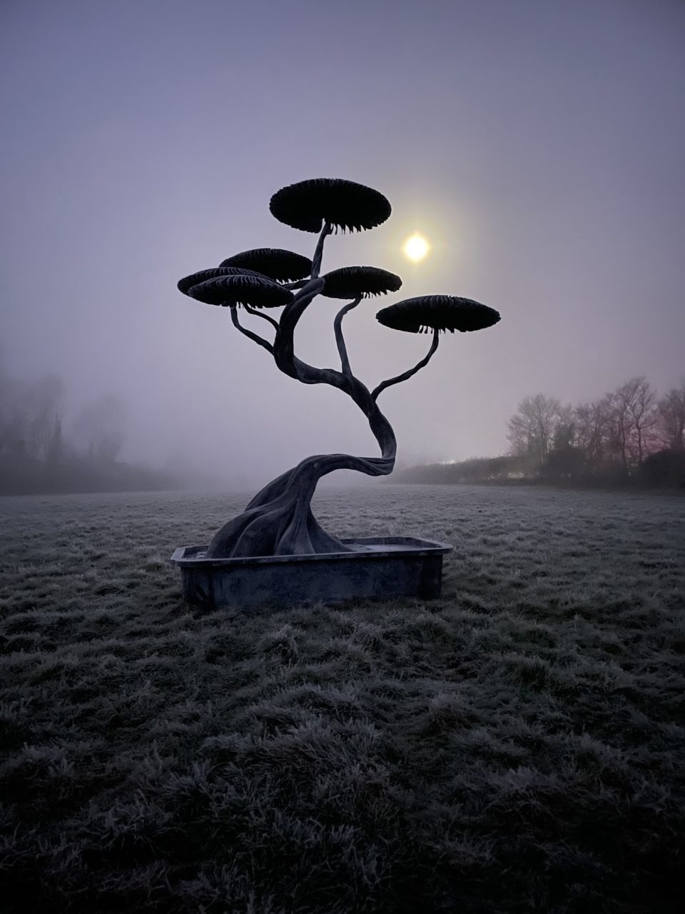 A silhouette of the six mushroom tree with bonsai trough against a misty moonlit sky.