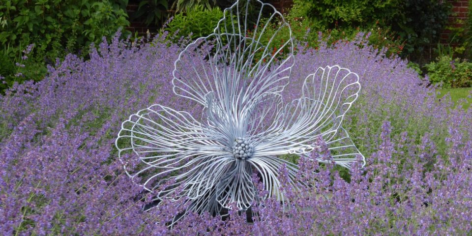 A large Flora sculpture in a bed, highlighting the elegant silver coloured ribbed petals against a mass of flowering nepeta.