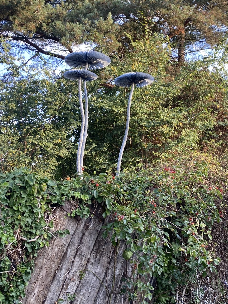 Three mushroom sculptures in zinc coated steel set on a ledge above a sleeper wall seen from below.