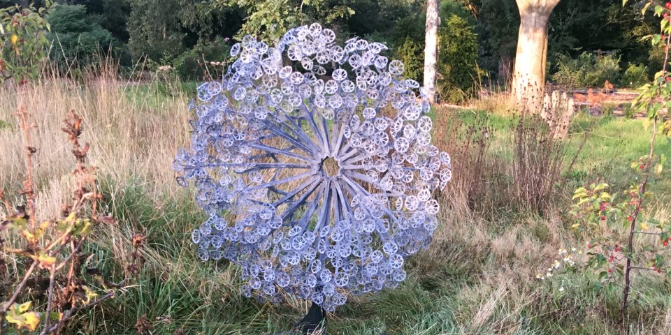 Aura sculpture set in open meadow in Autumn catching the afternoon light.
