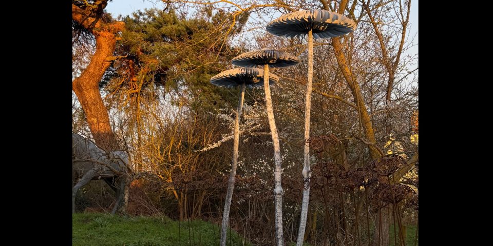 Three mushroom sculptures on a bank in late afternoon sun with a hedgerow behind.